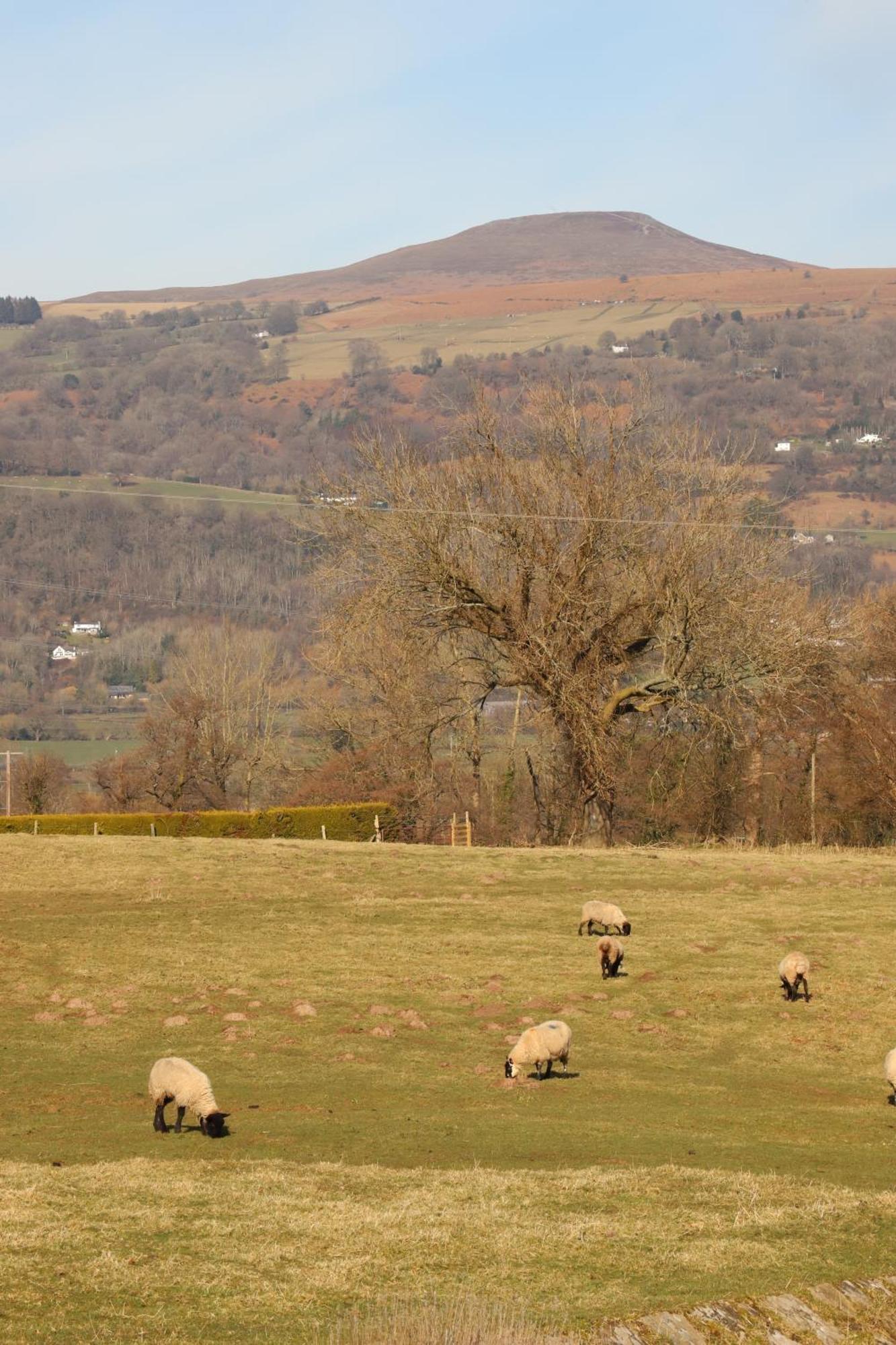 Cowshed In The Black Mountains Abergavenny Eksteriør billede